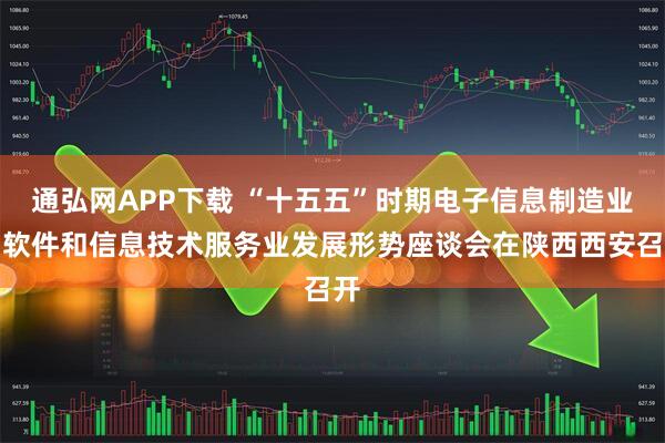 通弘网APP下载 “十五五”时期电子信息制造业、软件和信息技术服务业发展形势座谈会在陕西西安召开