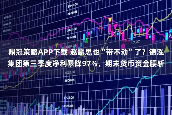 鼎冠策略APP下载 赵露思也“带不动”了？锦泓集团第三季度净利暴降97%，期末货币资金腰斩