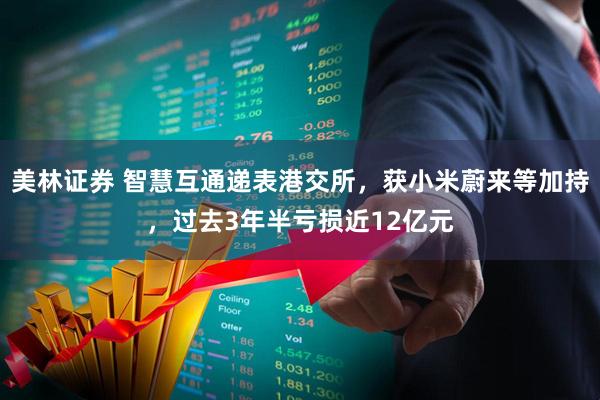 美林证券 智慧互通递表港交所，获小米蔚来等加持，过去3年半亏损近12亿元