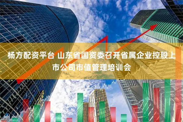 杨方配资平台 山东省国资委召开省属企业控股上市公司市值管理培训会