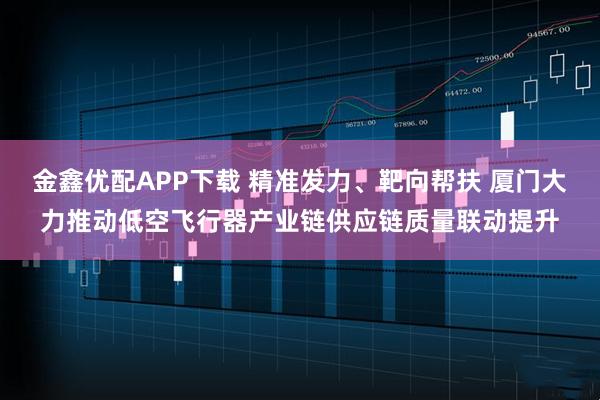金鑫优配APP下载 精准发力、靶向帮扶 厦门大力推动低空飞行器产业链供应链质量联动提升