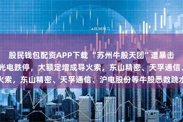 股民钱包配资APP下载 “苏州牛股天团”遭暴击：1500亿光纤龙头亨通光电跌停，大额定增成导火索，东山精密、天孚通信、沪电股份等牛股悉数跳水